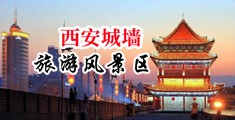 美女丝袜福利调教中国陕西-西安城墙旅游风景区